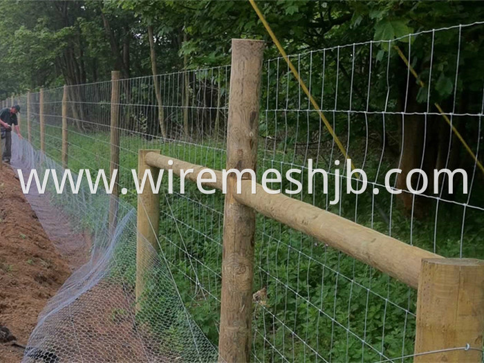 Woven Wire Field Fence